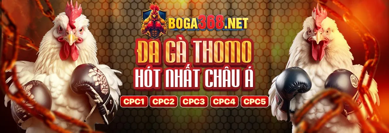 Người chơi r98 ăn mừng chiến thắng trong cá cược thể thao